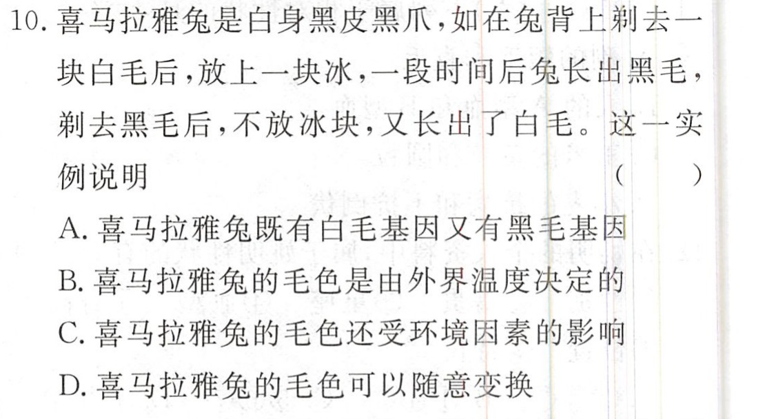 黑爪教育